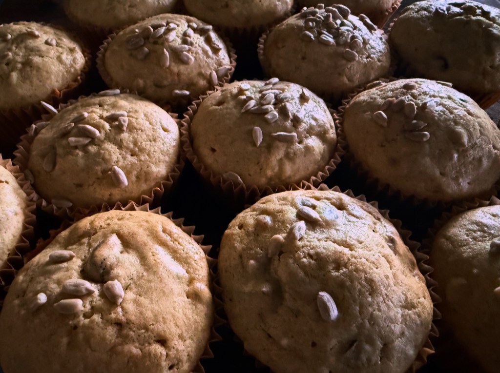 Sunflower Seed Muffins