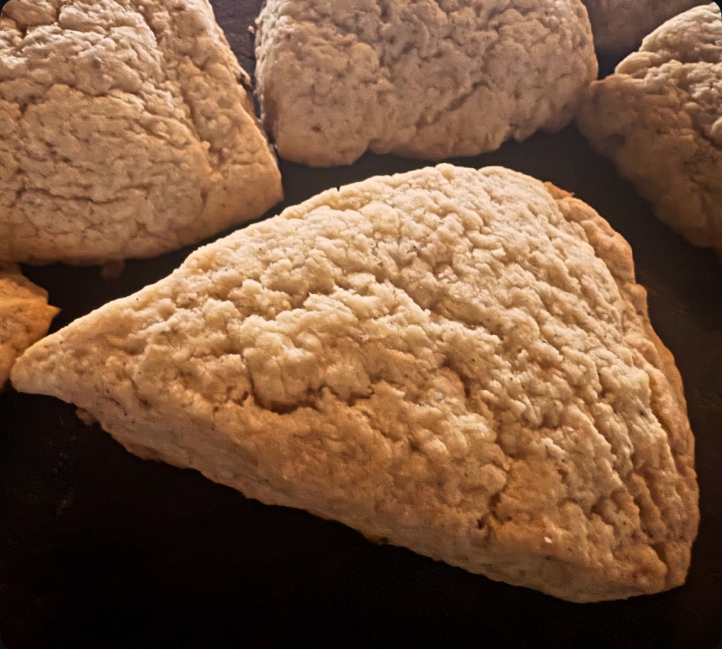Vanilla Bean Scones