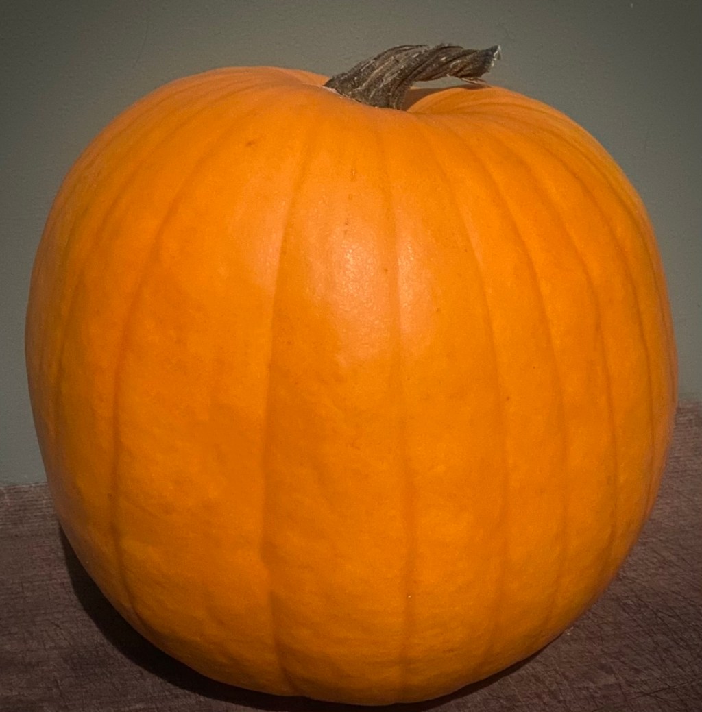 Roasted Pumpkin Seeds