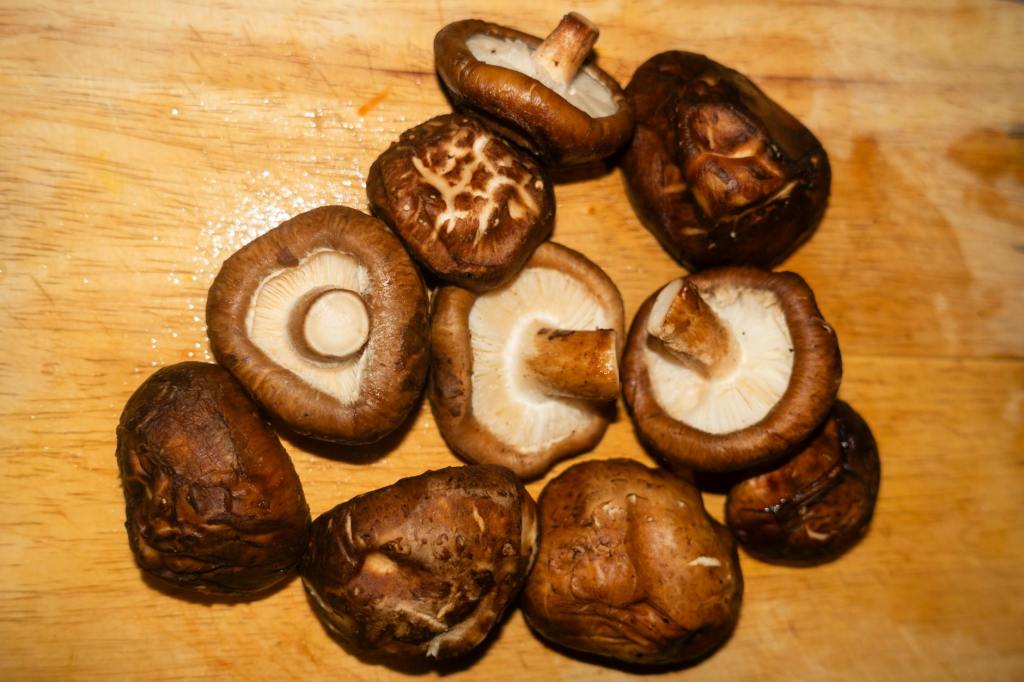 How to Grow Shiitake Mushrooms: A Step-by-Step&nbsp;Guide